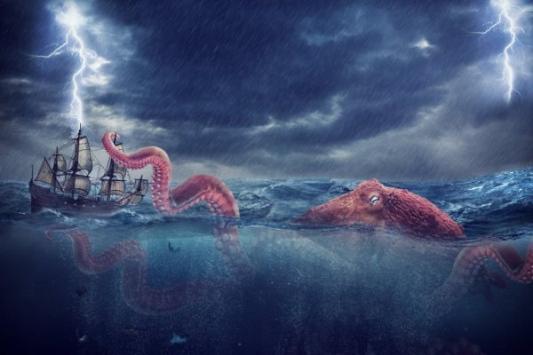 Kraken настоящая ссылка