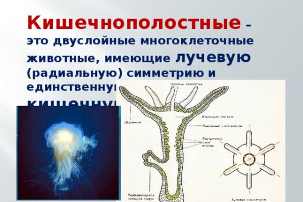 Ссылка на сайт гидра в тор браузере