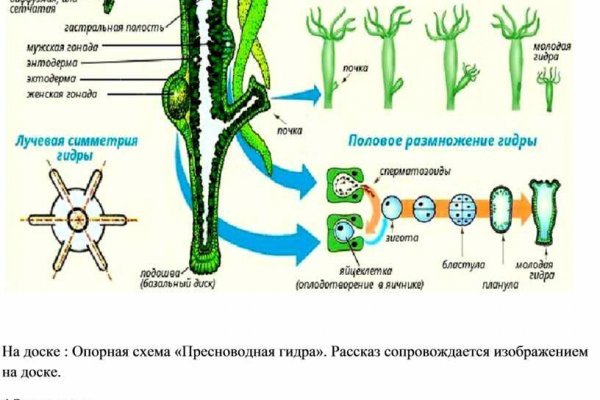 Гидра зайти кракен